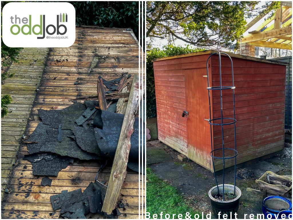 Replacing a shed roof in Bury Before shot